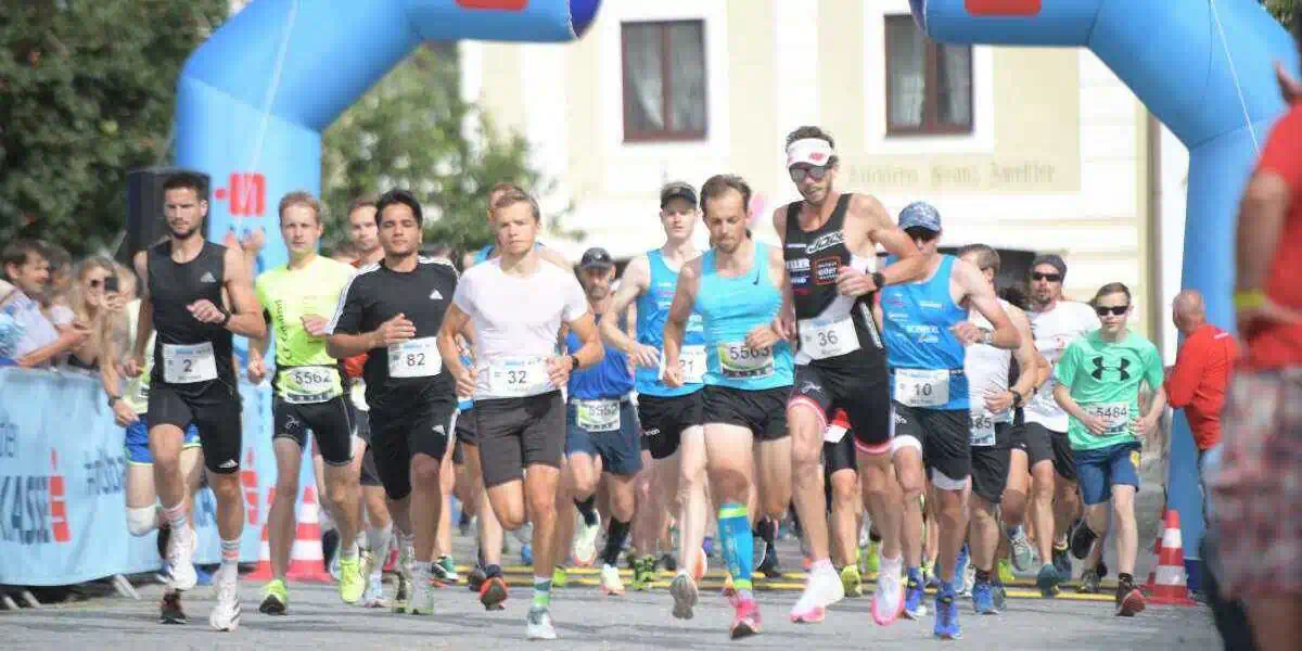 SC Zwickl Zwettl. Der Laufclub im Waldviertel
